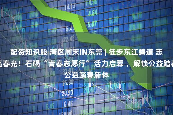 配资知识股 湾区周末IN东莞 | 徒步东江碧道 志愿点亮春光！石碣 “青春志愿行” 活力启幕 ，解锁公益踏春新体