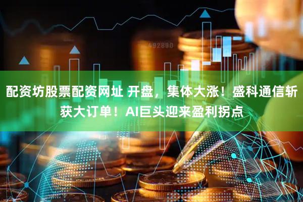 配资坊股票配资网址 开盘，集体大涨！盛科通信斩获大订单！AI巨头迎来盈利拐点